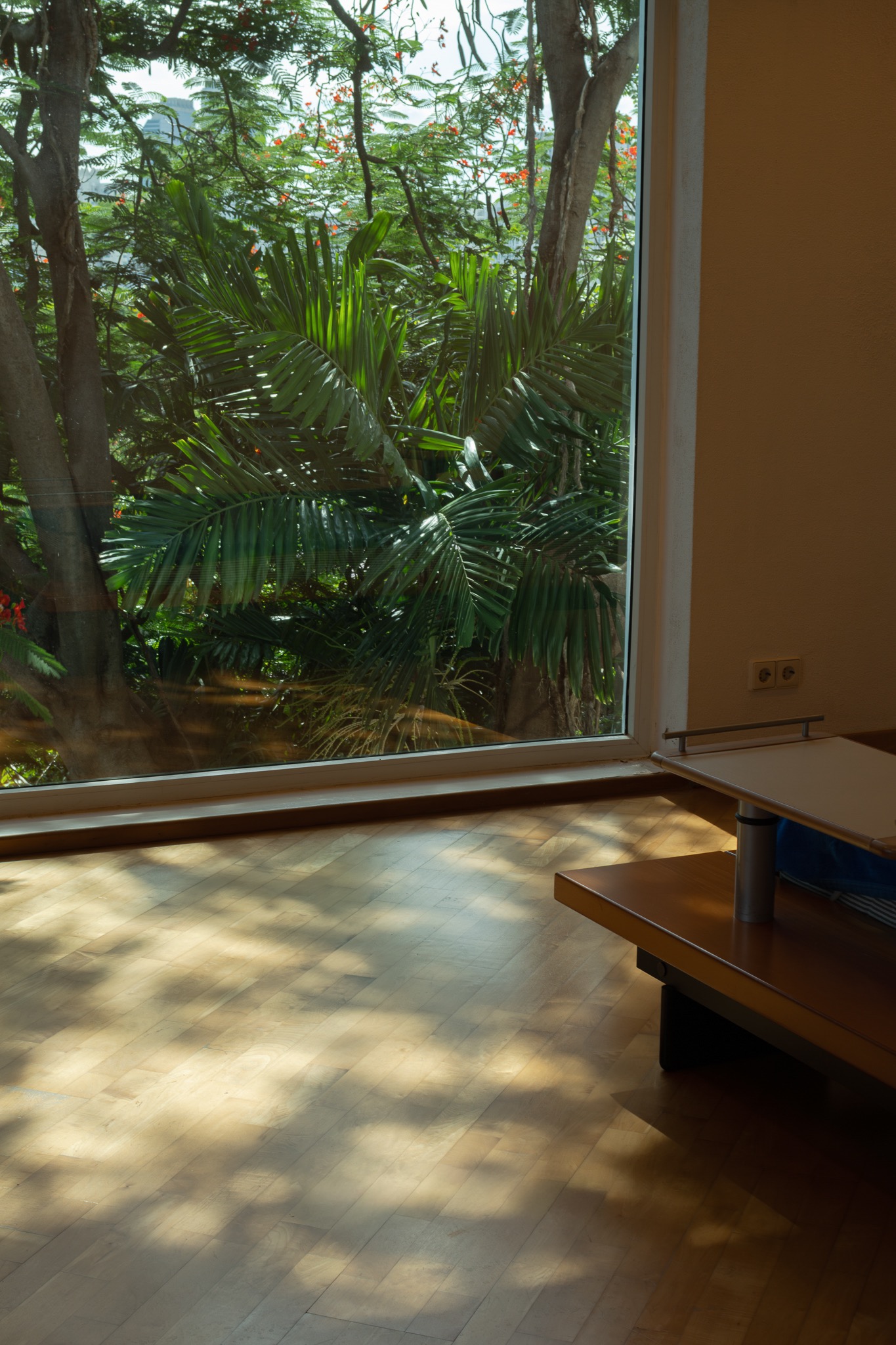 Sunlit timber floor beside a large window overlooking tropical greenery