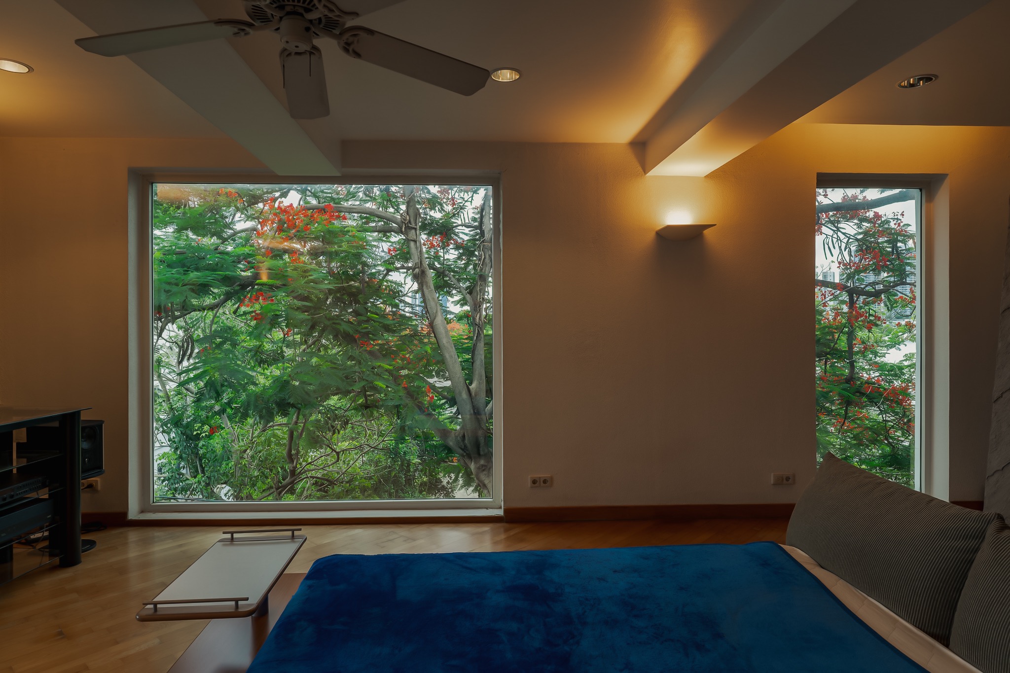 Warm architectural interior with large windows framing tropical trees and a deep blue daybed